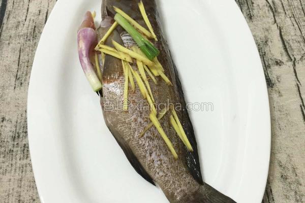 清蒸石斑魚 菜系,清蒸石斑魚的正宗做法