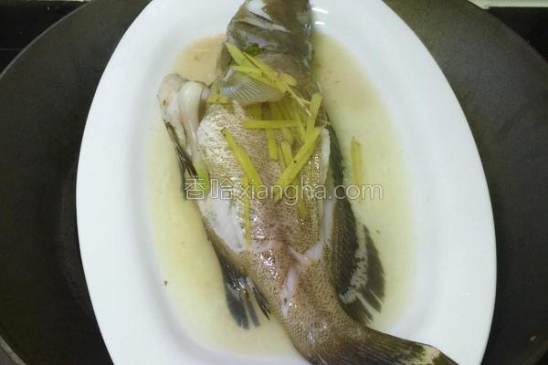 清蒸石斑魚 菜系,清蒸石斑魚的正宗做法