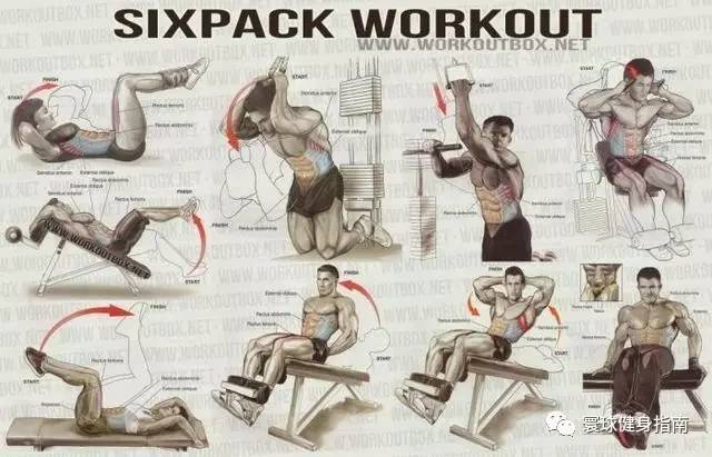 全身肌肉訓練圖解，看這一篇就夠了