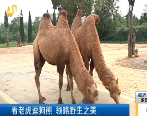 驾考新规10月1日起实施,驾考新规10月1日起实施 难度升级!