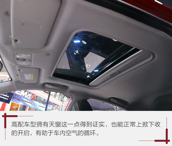 少年老成的“小大人” 瑞纳实拍图解