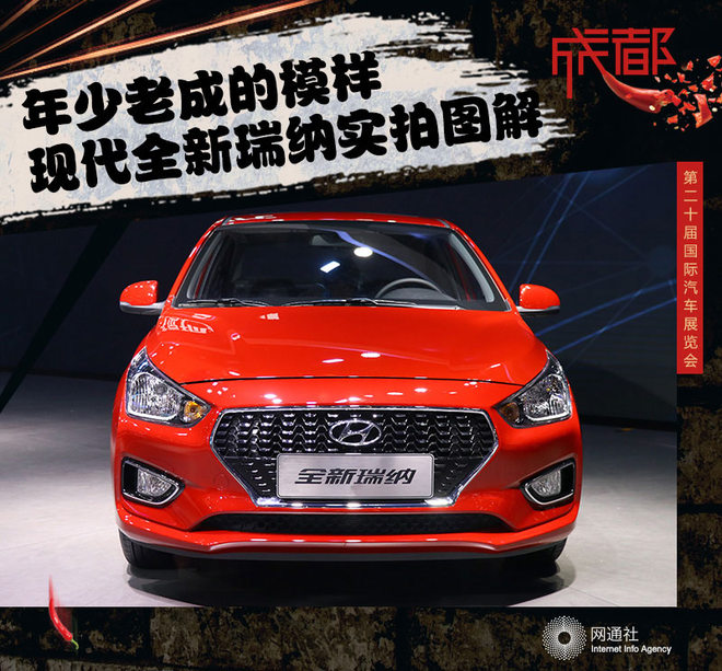瑞纳：少年之姿，老成之智