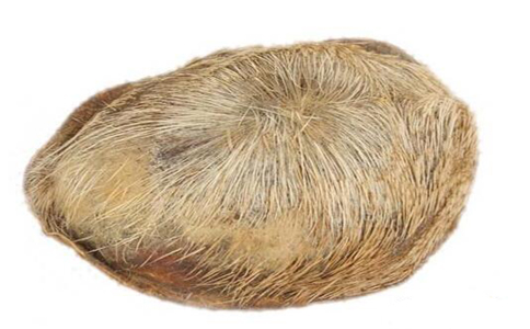 麝香泡酒喝的功效