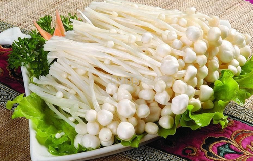 金针菇为什么叫see you tomorrow 金针菇为什么不消化