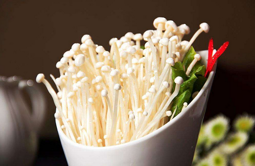 金针菇为什么叫see you tomorrow 金针菇为什么不消化