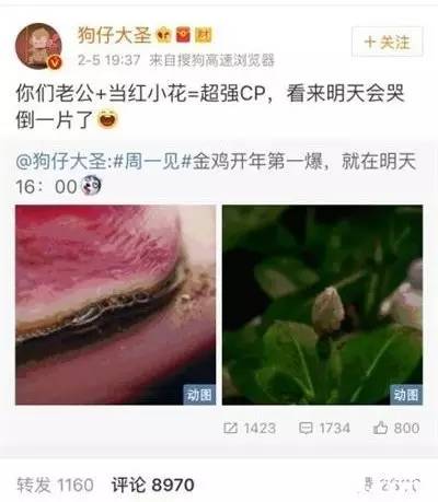 袁姗姗和张继科(张继科袁姗姗被爆恋情，工作室澄清的回应超有趣！)