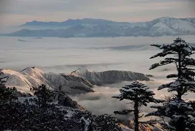 前山拜佛后山“观海”——百年古刹灵山寺