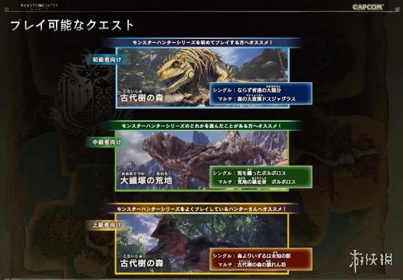 《怪物猎人世界》PS4版基本操作指南 全武器全新动作出招表公开