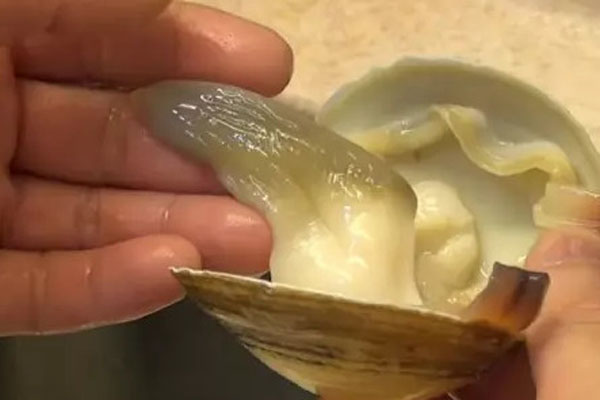 北極貝,北極貝怎么做好吃
