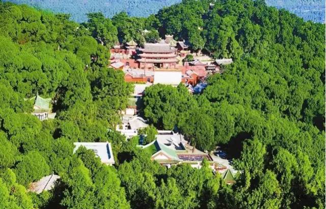 绵阳湿地公园有一个最纯净的城市绿肺在绵阳三江码头有一个可以与朝天