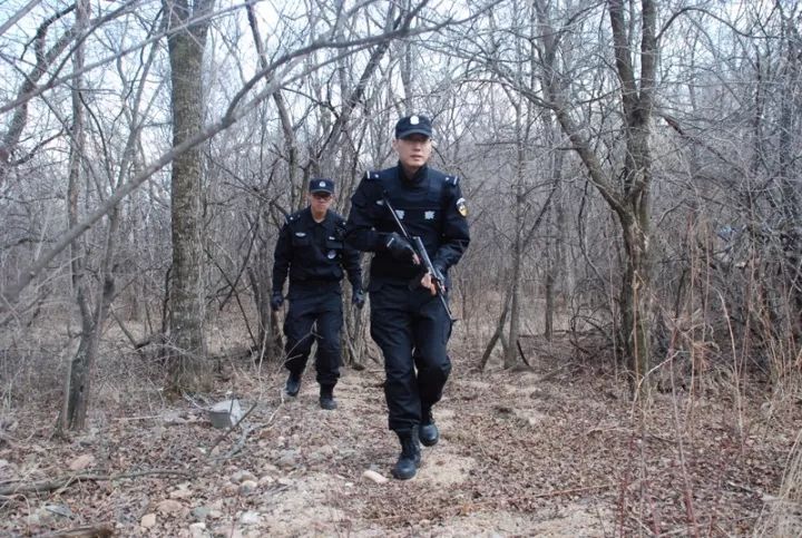 「警苑心语」那盏闪耀的警灯，是否也曾照亮你深夜的归途