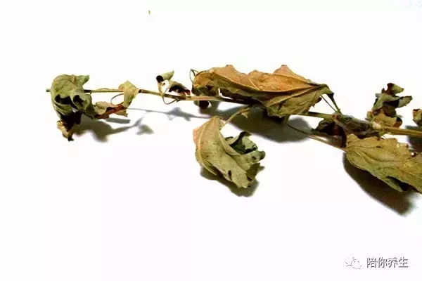 ĸòkeĵĸðĵʮgeɣ-Ʒ
