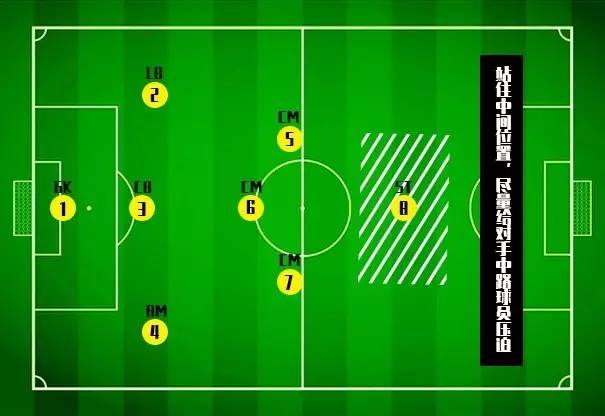 八人制足球场地(解析8人制比赛中最基础的战术阵型——331阵型)