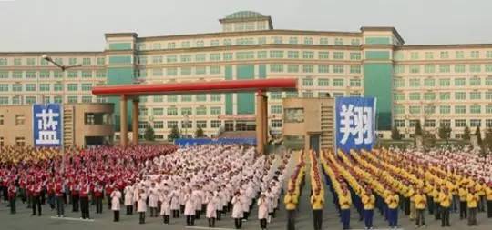 中外野鸡大学避雷指南 乱花渐欲迷人眼，偷梁换柱辨不出