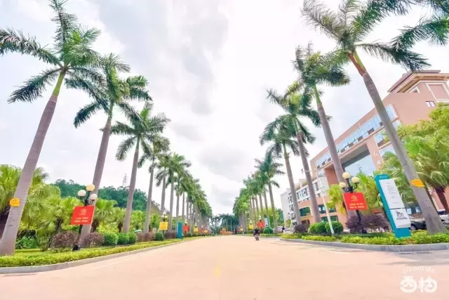 惠州学院录取分数要飞天了？理科超省最低控制分数线89分