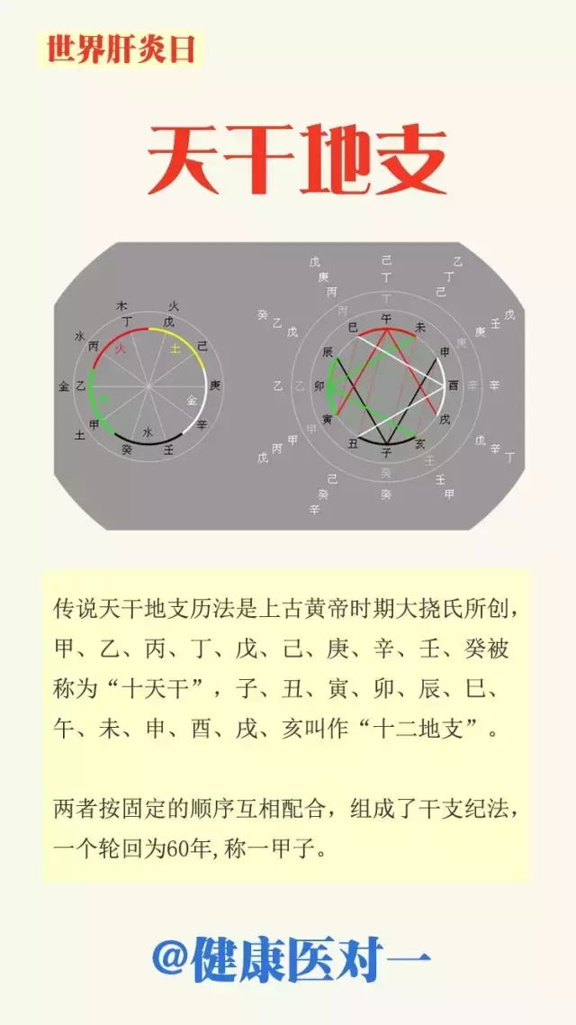 世界肝炎日｜天干地支护肝行