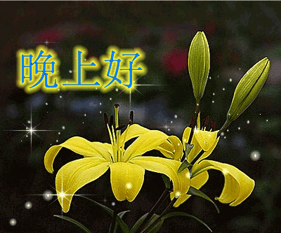 一句晚安，一声祝福，好好休息，又是一天，愿你幸福一辈子！
