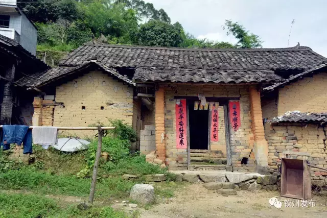 钦州电视台,钦州电视台综合频道在线直播