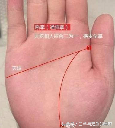 "男儿断掌千斤两,女子断掌过房养",中年必定天降横财,大富大贵的手相