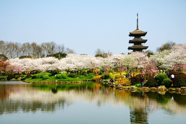 武汉大学｜不知道这些门，怎么感受武大的美啊