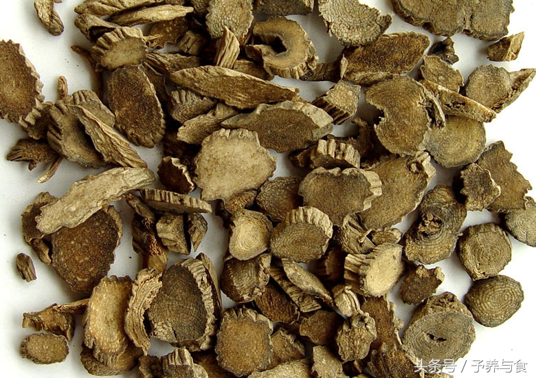 牛膝和什么一起吃最好？牛膝的功效与作用及禁忌