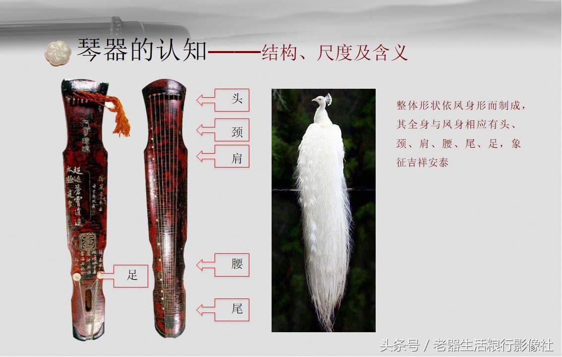从“五根弦”到“七根弦”，弹古琴是在谈宇宙观