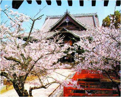 武汉大学｜不知道这些门，怎么感受武大的美啊