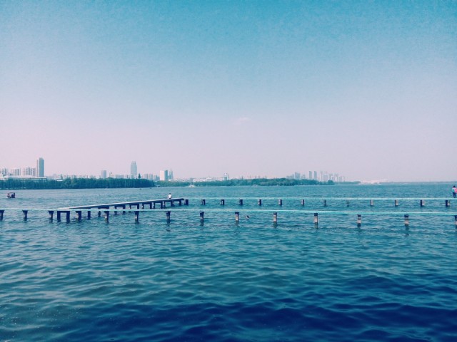 武汉大学｜不知道这些门，怎么感受武大的美啊