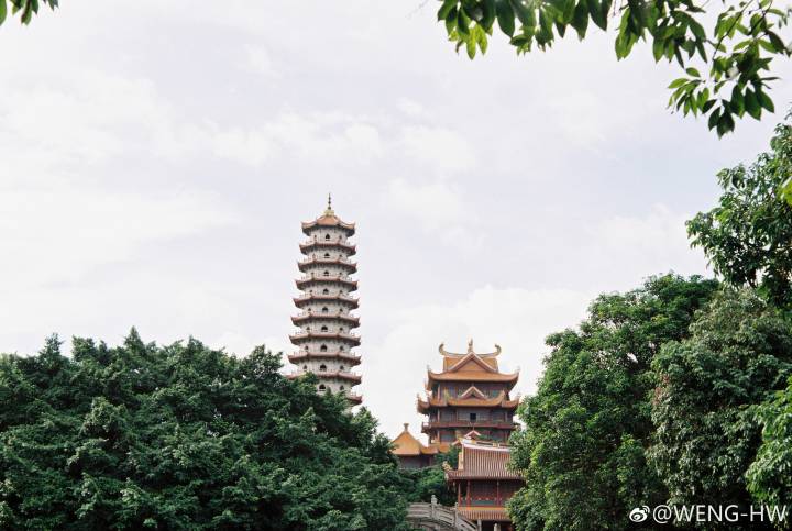 福州西禅寺，炎炎夏日里的一份宁谧，心静自然凉！