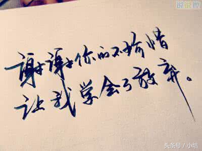 时间轮回，初心未改：重拾往日美好