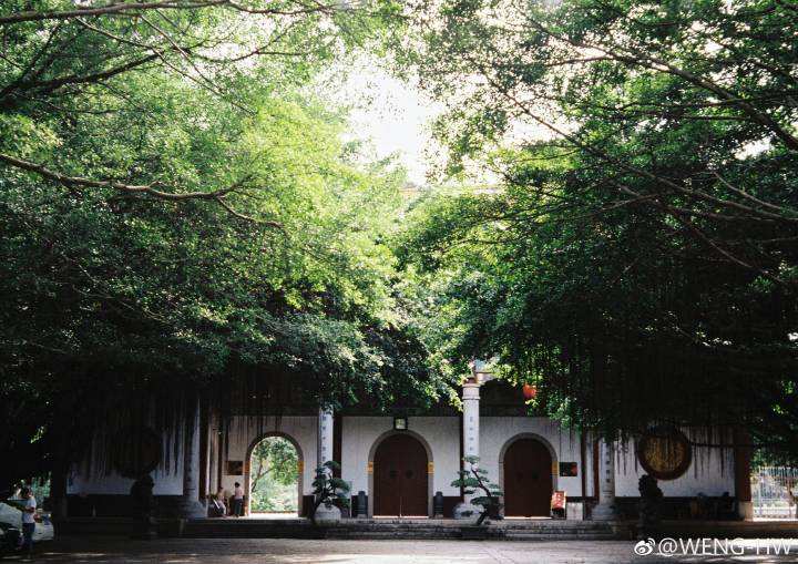 福州西禅寺，炎炎夏日里的一份宁谧，心静自然凉！