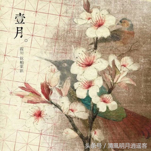 四季轮回十二月景：春花夏雨秋月冬雪的诗意流转