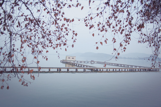 武汉大学｜不知道这些门，怎么感受武大的美啊