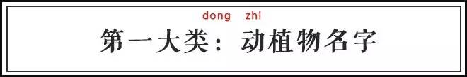 葫组词2个字（葫组词2个字2个词）-第4张图片-昕阳网