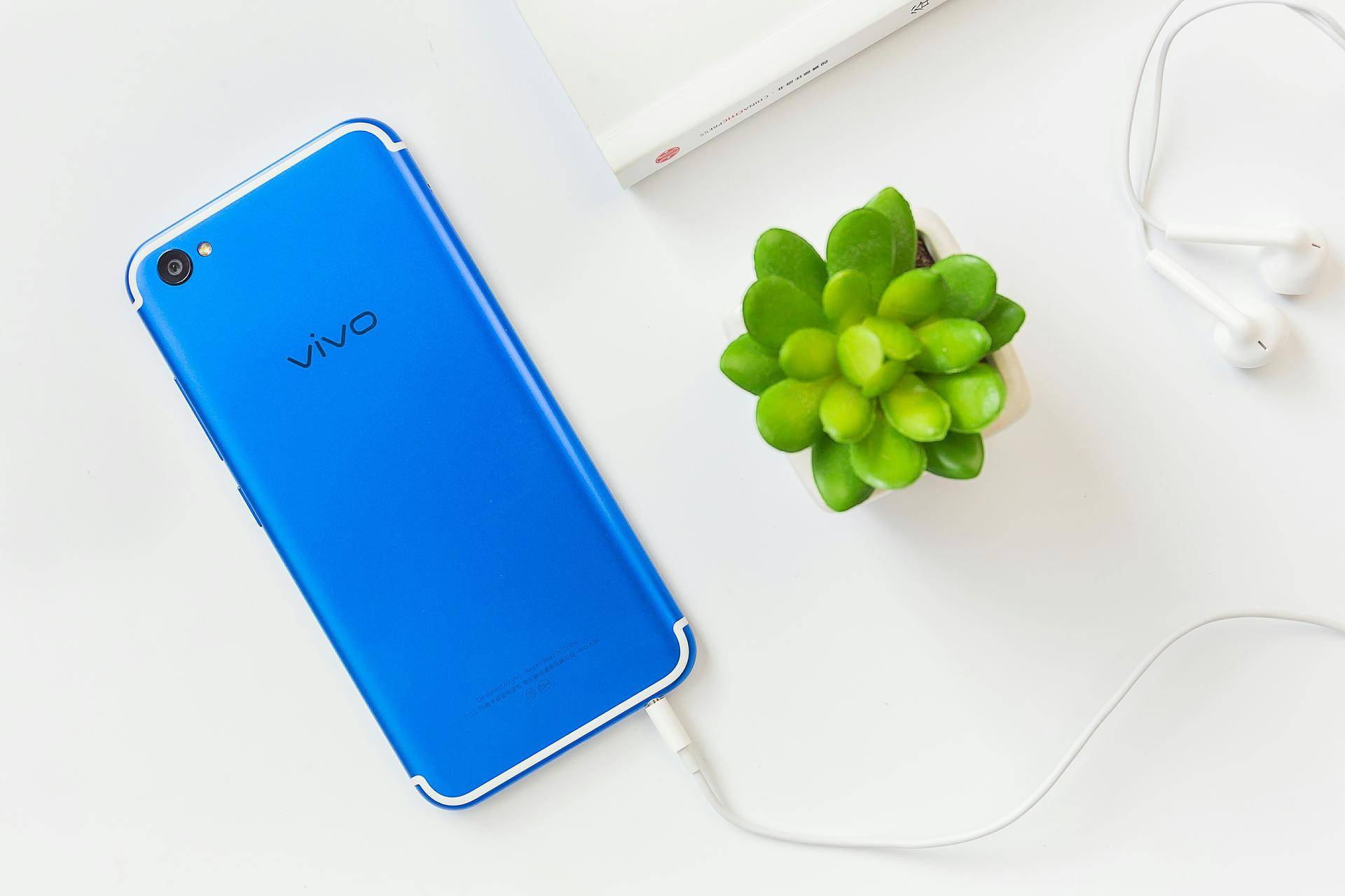 vivoy67出厂价多少钱高端