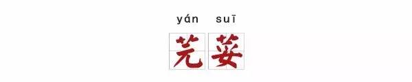 葫组词2个字（葫组词2个字2个词）-第5张图片-昕阳网