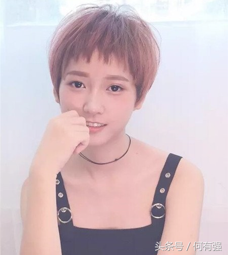 圆脸适合剪什么短发(圆脸头发厚适合什么短发)-骁龙网