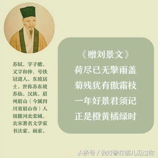 苏轼的九首诗,那首诗戳中你心?