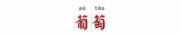 葫组词2个字（葫组词2个字2个词）-第10张图片-昕阳网