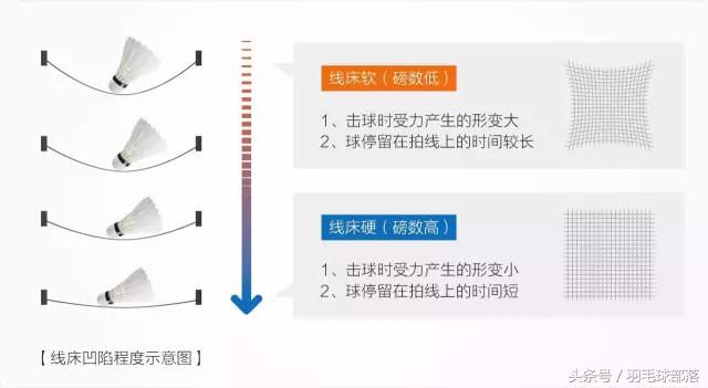 怎么测羽毛球拍磅数(选择羽毛球拍的磅数有技巧，“人拍合一”不是梦！)