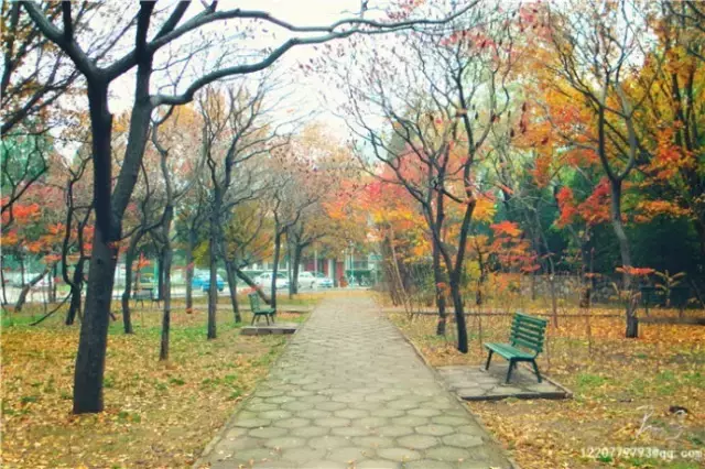 中北大学｜曾经的太原兵工学府