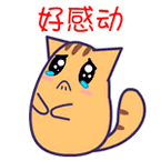 不会被装修毁了的《我的前半生》