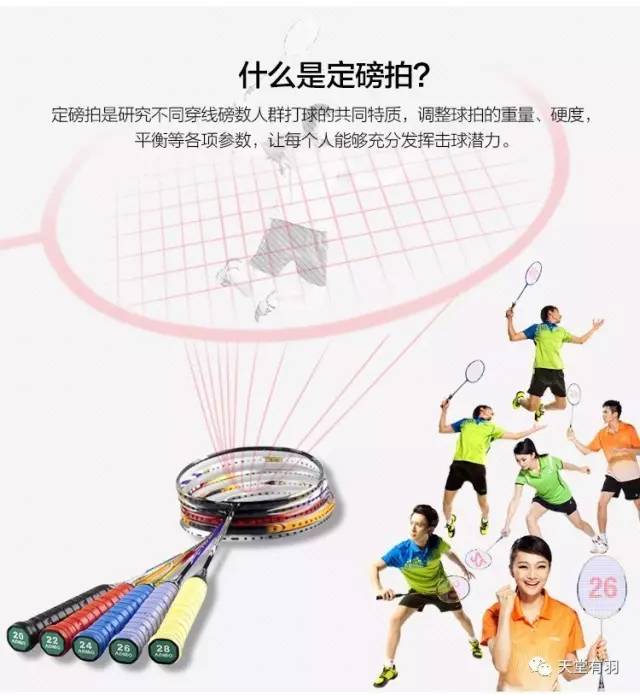 网球拍拉线磅数(发烧理论丨如何优雅的确定羽毛球拍的磅数？)