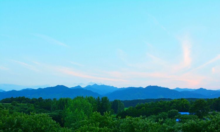 1140米上的风景——桐柏山太白极顶