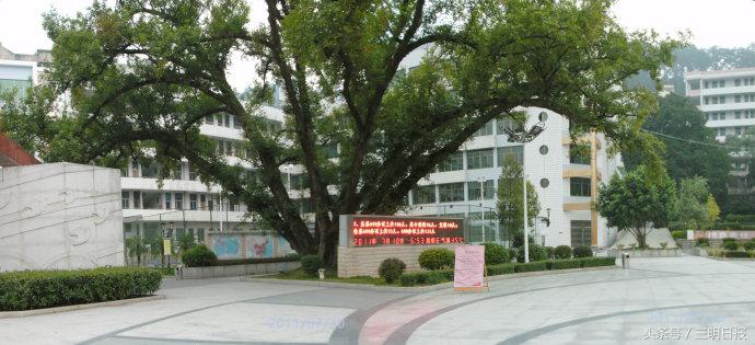 责任育人，育有责人——专访尤溪第一中学校长吴思廉