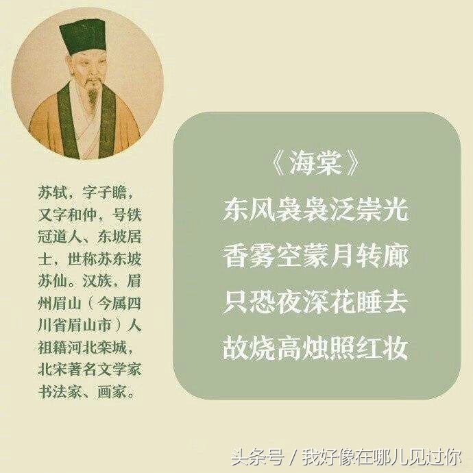 苏轼的九首诗,那首诗戳中你心?