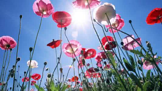 会计专业考研：学硕比专硕好？错