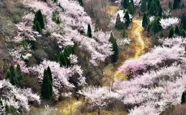 中北大学｜曾经的太原兵工学府