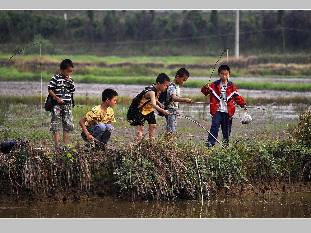 童年的回忆诗句关于童年的诗