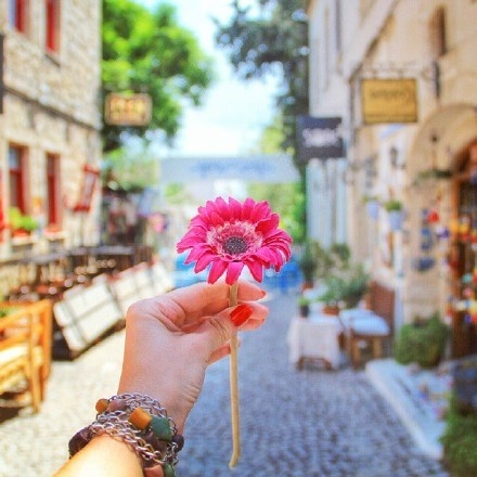 栗子姐每日情感问答(0817)